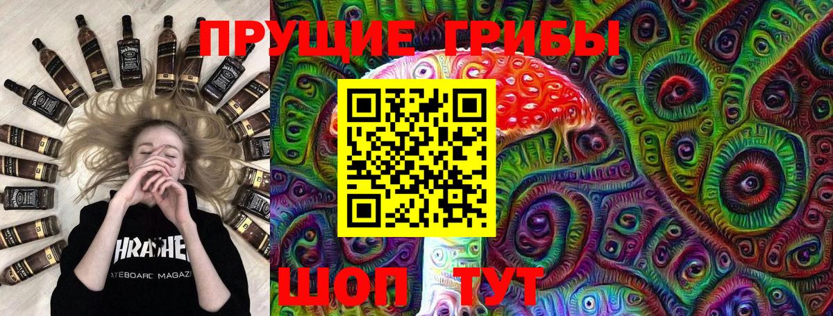 Псилоцибиновые грибы Psilocybe  Вход с VPN  Ухта 