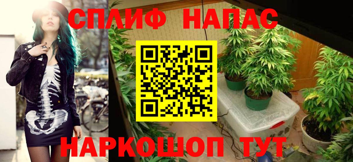 Марихуана планчик Ухта